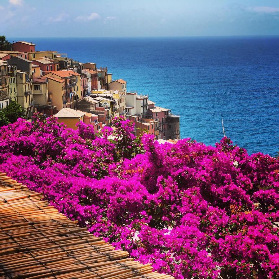 La Torretta Lodge Manarola Exteriér fotografie